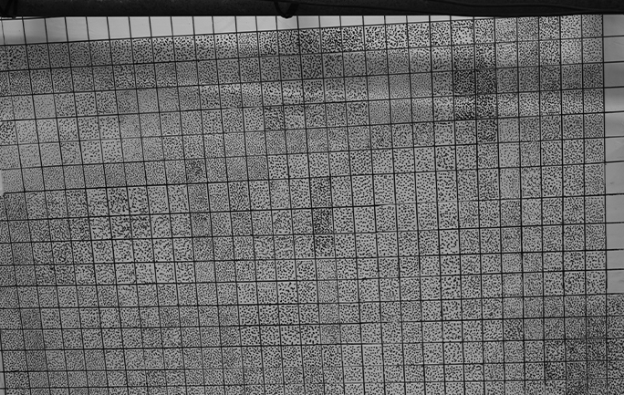 数字图像相关（DIC）技术-在土木工程领域